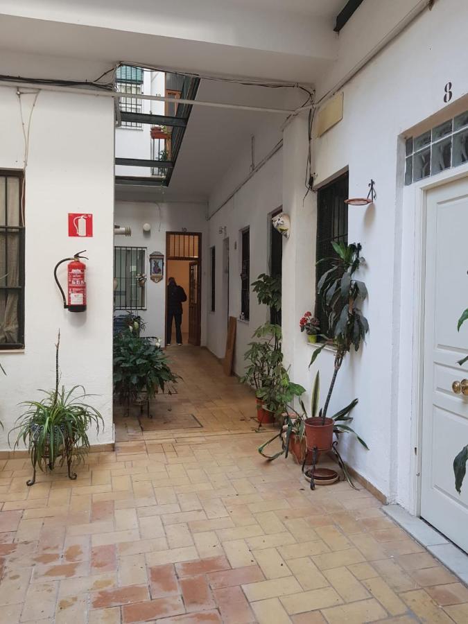 Ideal Tipo Loft En Triana Wifi Appartement
